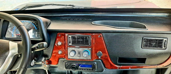 Utilitara Electrica Pick Up Plus [9]