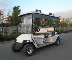 Golf Cart 6 seats [5]
