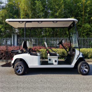 Golf Cart 6 seats [4]
