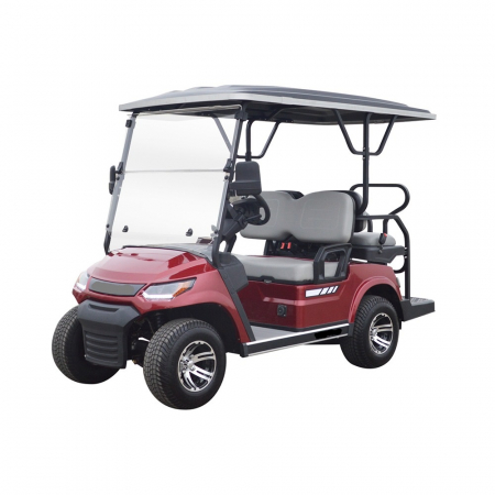 Golf Cart Premium 2+2 seats [3]