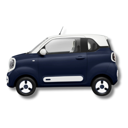 MASINI ELECTRICE - Masina Electrica B1 4 locuri