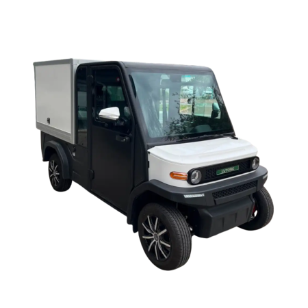 UTILITARE ELECTRICE - Masina Utilitara Electrica Van PLUS