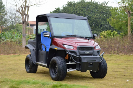 UTV Electric 2 locuri - Deschis [1]