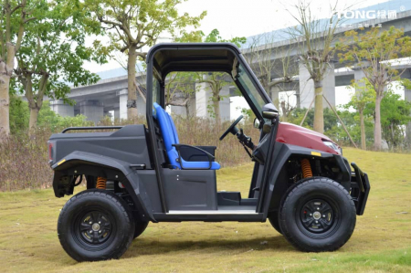 UTV Electric 2 locuri - Deschis [2]