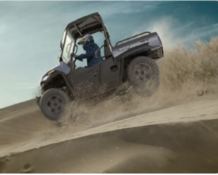 UTV Electric adulti 2 locuri [4]