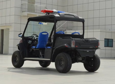 UTV electric adulti Romania [5]