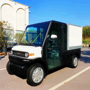 Electric Car Truck [3]