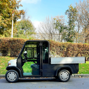Utilitara Electrica Pick Up Plus [7]