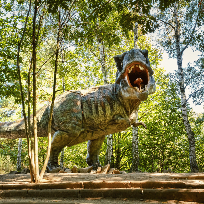 1 Iunie la Dino Parc [2]