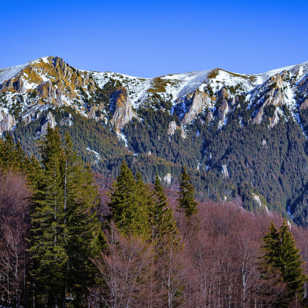 Excursii Romania - Excursie la Muntele Rosu