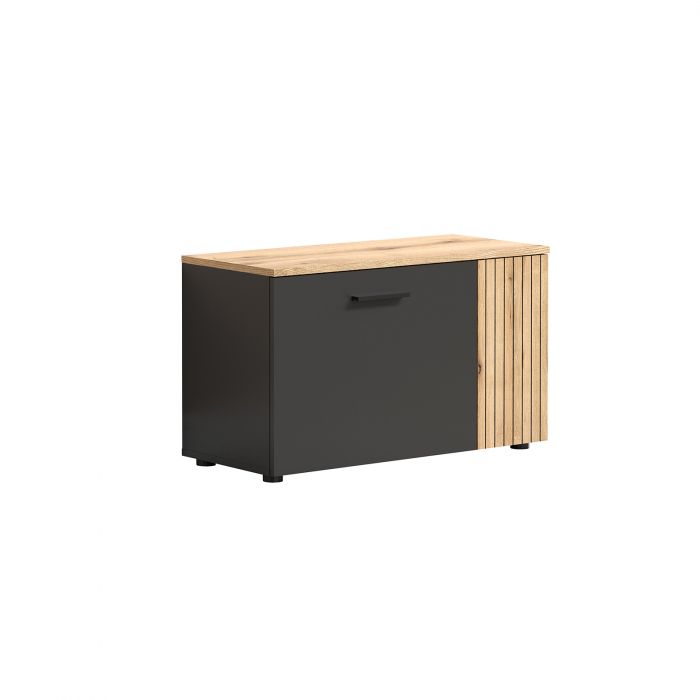 Pantofar ESTEBAN, 2 usi, grafit + stejar evok, 80,1x36x48 cm [2]