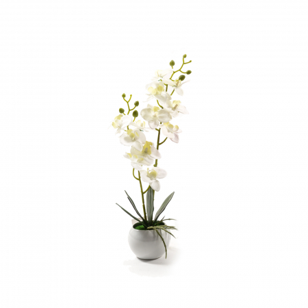 Orhidee in vas ceramic, 15x8x30 cm, alb