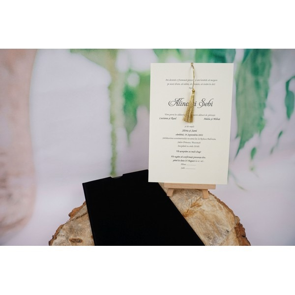 Invitatie 1117 [2]