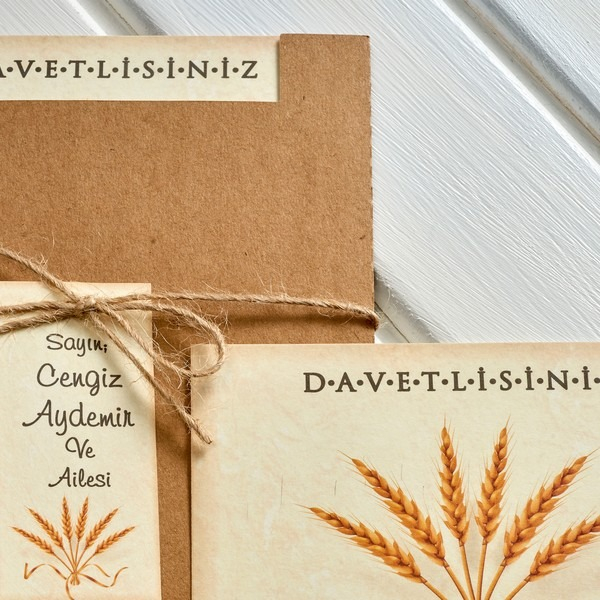 Invitatie 9567 [2]