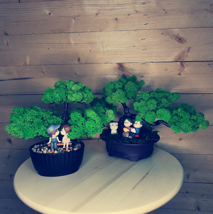 Bonsai cu licheni stabilizati EXT-BS3 [2]