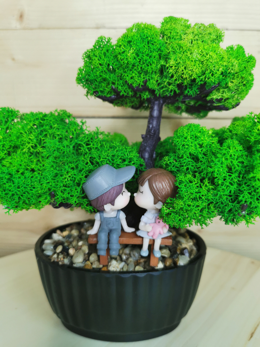 Bonsai cu licheni stabilizati EXT-BS2 [4]