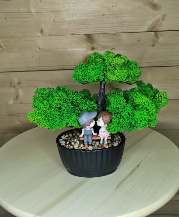 Bonsai cu licheni stabilizati EXT-BS2 [5]