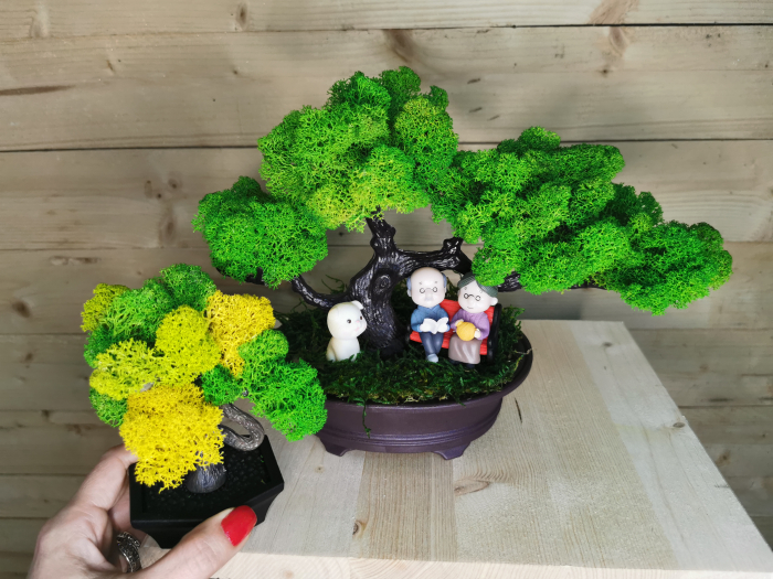 Bonsai cu licheni stabilizati EXT-BS3 [4]