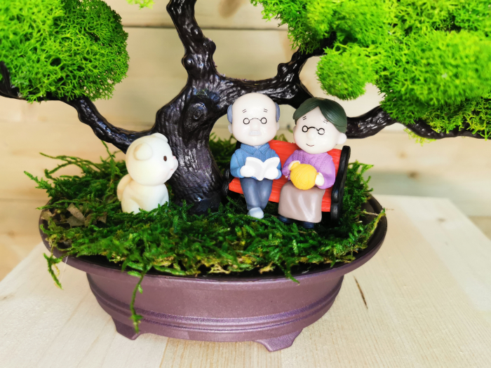 Bonsai cu licheni stabilizati EXT-BS3 [3]