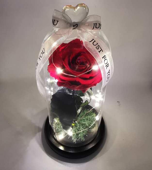 Cupola led trandafir criogenat EXT-C6 [3]
