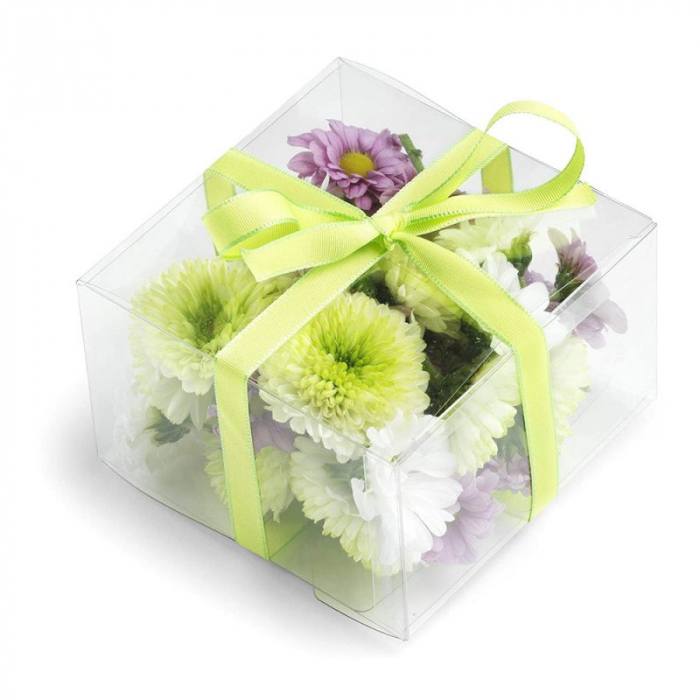 Cutie transparenta pentru globuri [2]