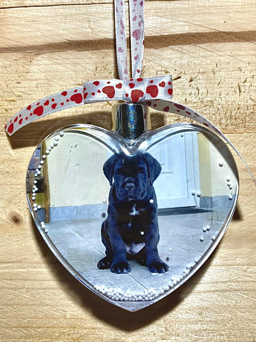 Glob inima personalizat [10]