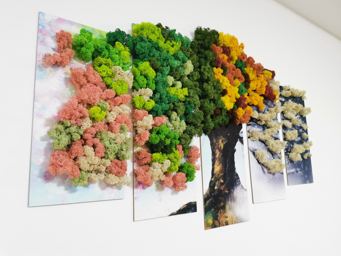 Tablou 4 anotimpuri personalizat cu licheni EXT-T1 [3]