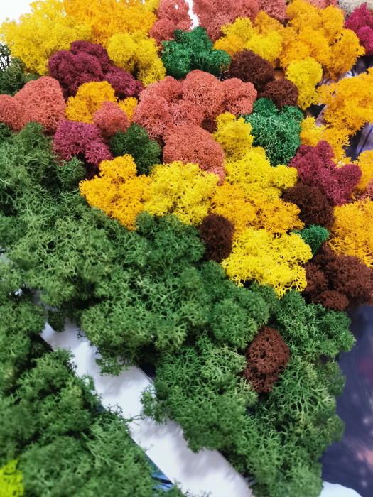 Tablou 4 anotimpuri personalizat cu licheni EXT-T1 [5]