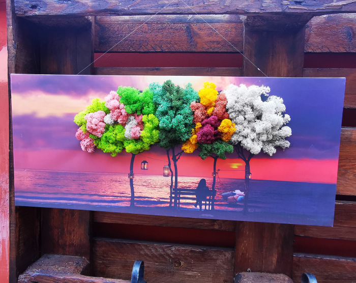 Tablou 4 anotimpuri personalizat cu licheni EXT-T16 [5]