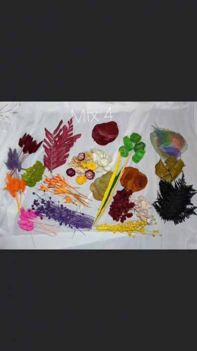 Tablou Lady in Purple EXT-L23 [6]