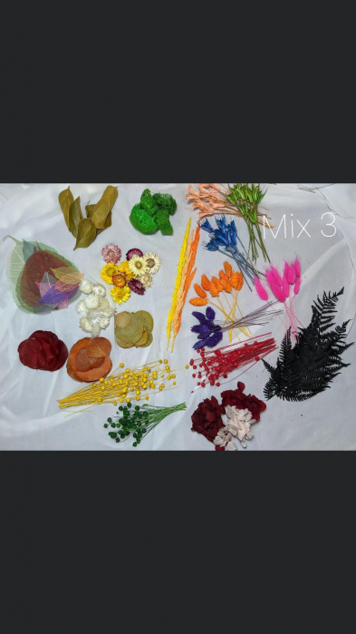 Tablou Lady in Purple EXT-L23 [5]