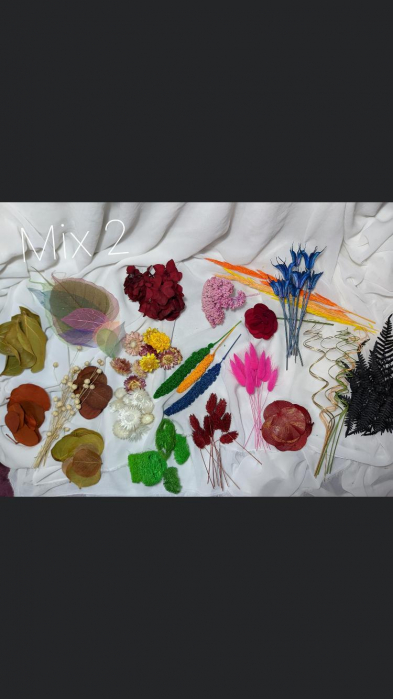 Tablou Lady in Purple EXT-L23 [4]