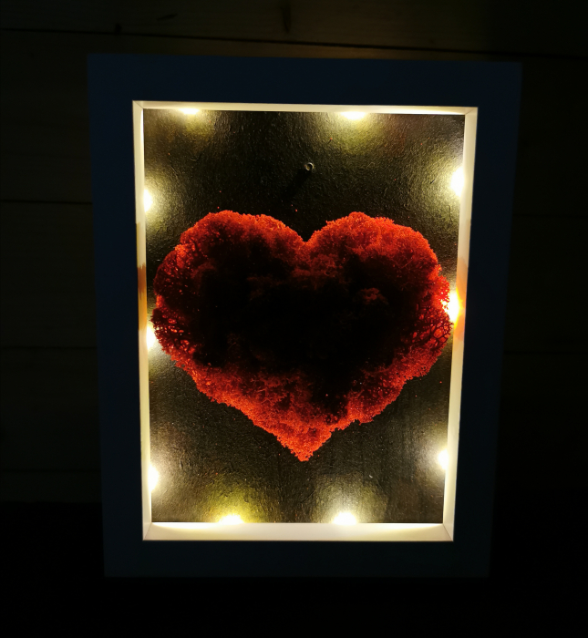 Tablou licheni Led Heart [5]