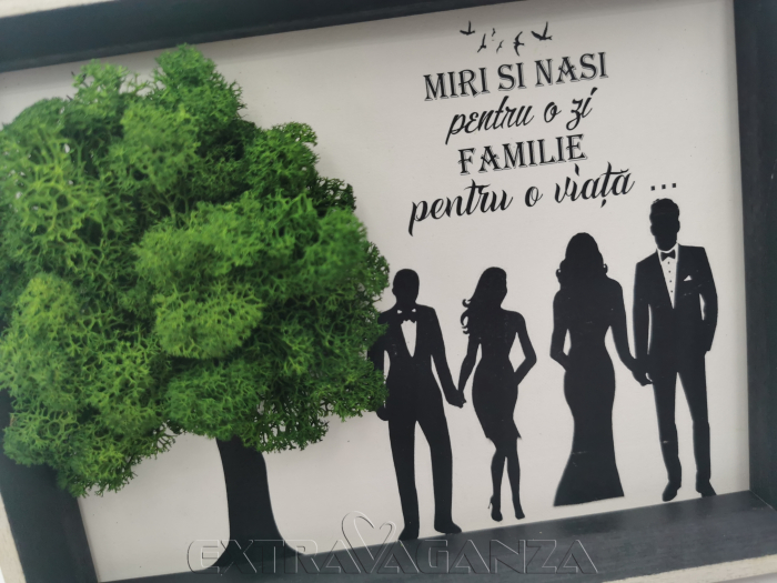 Tablou licheni nași - EXT-L10 [3]
