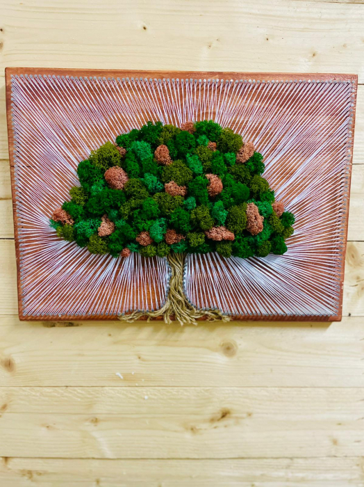 Tablou licheni Oak Tree EXT-L15 [3]