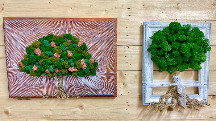 Tablou licheni Oak Tree EXT-L15 [4]