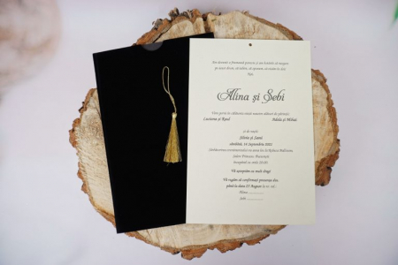 Invitatie 1117 [2]
