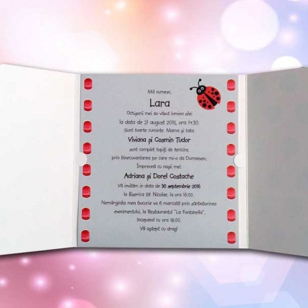 Invitatie 113 [1]