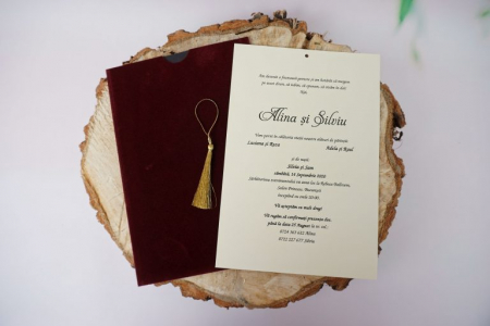 Invitatie 1173 [1]
