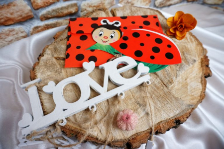 Botez - Invitatie 3608B