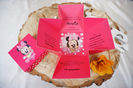 Botez - Invitatie 3621B