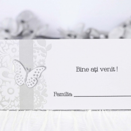 Plic de bani 5222 [0]