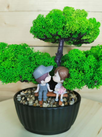 Bonsai cu licheni stabilizati EXT-BS2 [3]