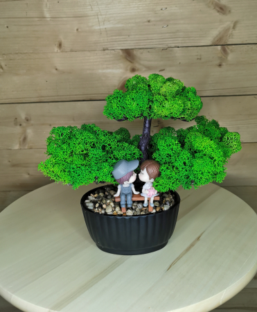 Bonsai cu licheni stabilizati EXT-BS2 [4]