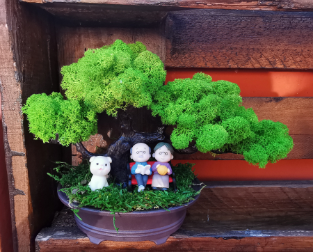 Extravaganțe - Bonsai cu licheni stabilizati EXT-BS3