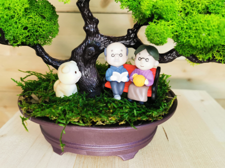 Bonsai cu licheni stabilizati EXT-BS3 [2]