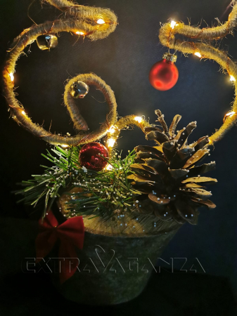Brăduț extravagant [2]