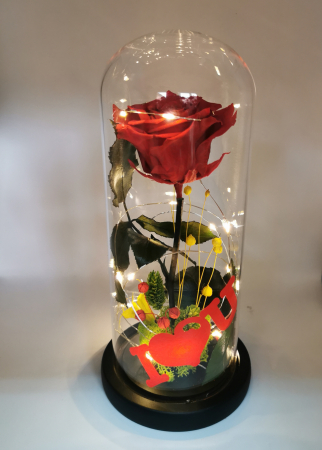 Cupola led trandafir criogenat EXT-C12 [0]