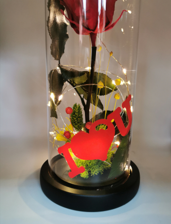 Cupola led trandafir criogenat EXT-C12 [1]