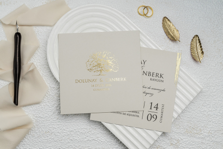 invitatie 9256 [1]